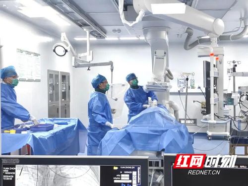 汝城縣人民醫院獲評心血管疾病防治技術牽頭單位，引領區域健康服務新篇章